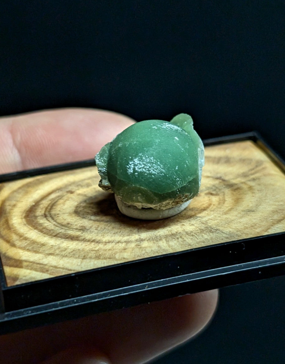 A polished green jade frog figurine with a smooth, glossy surface and subtle natural inclusions.