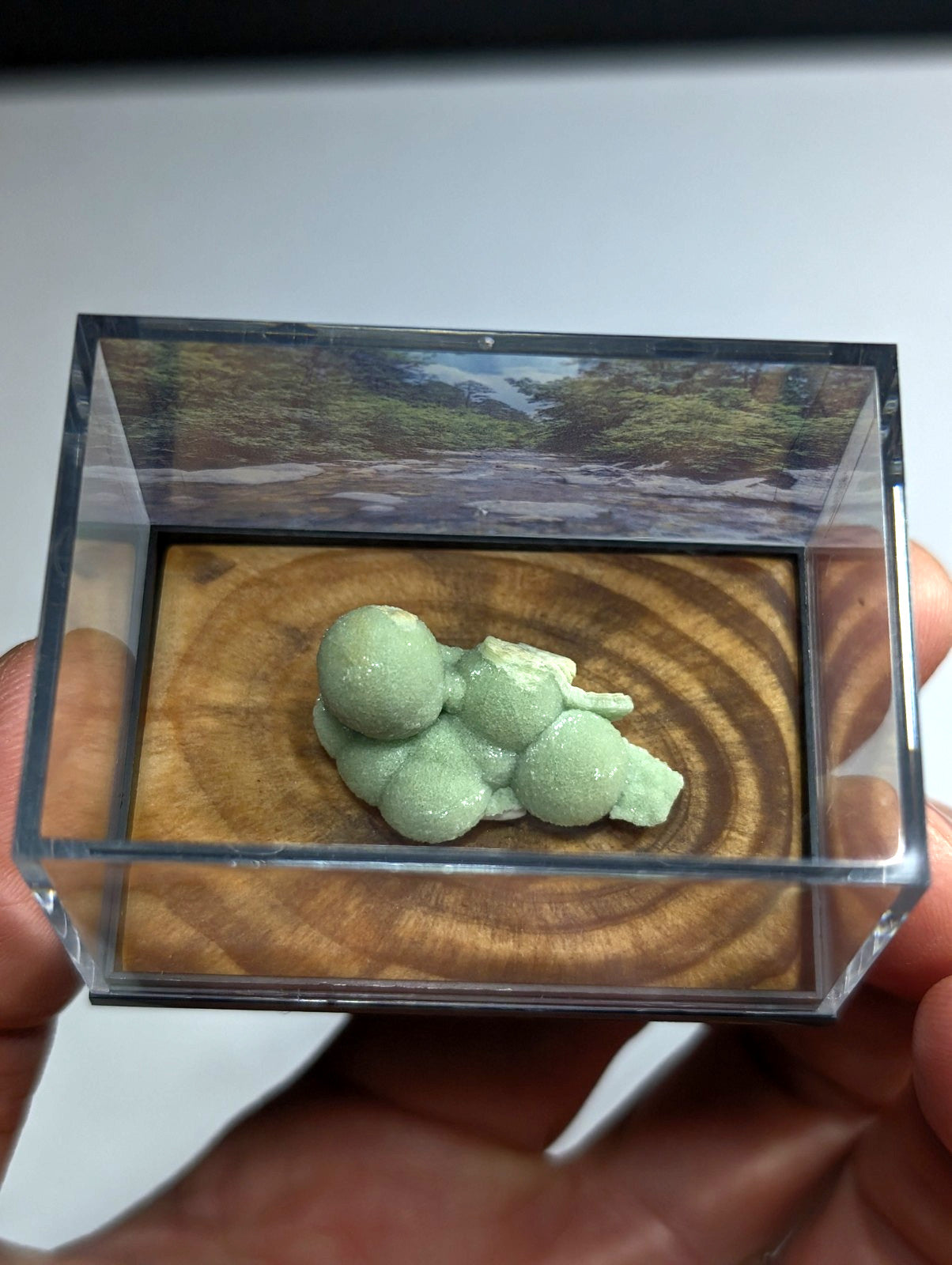 A delicate, light green geode-like mineral specimen with rounded, clustered formations rests inside a clear acrylic display case.