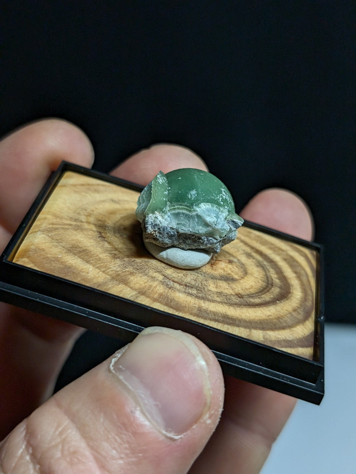 A polished green jade turtle figurine with a rough, white mineral base and natural stone texture.