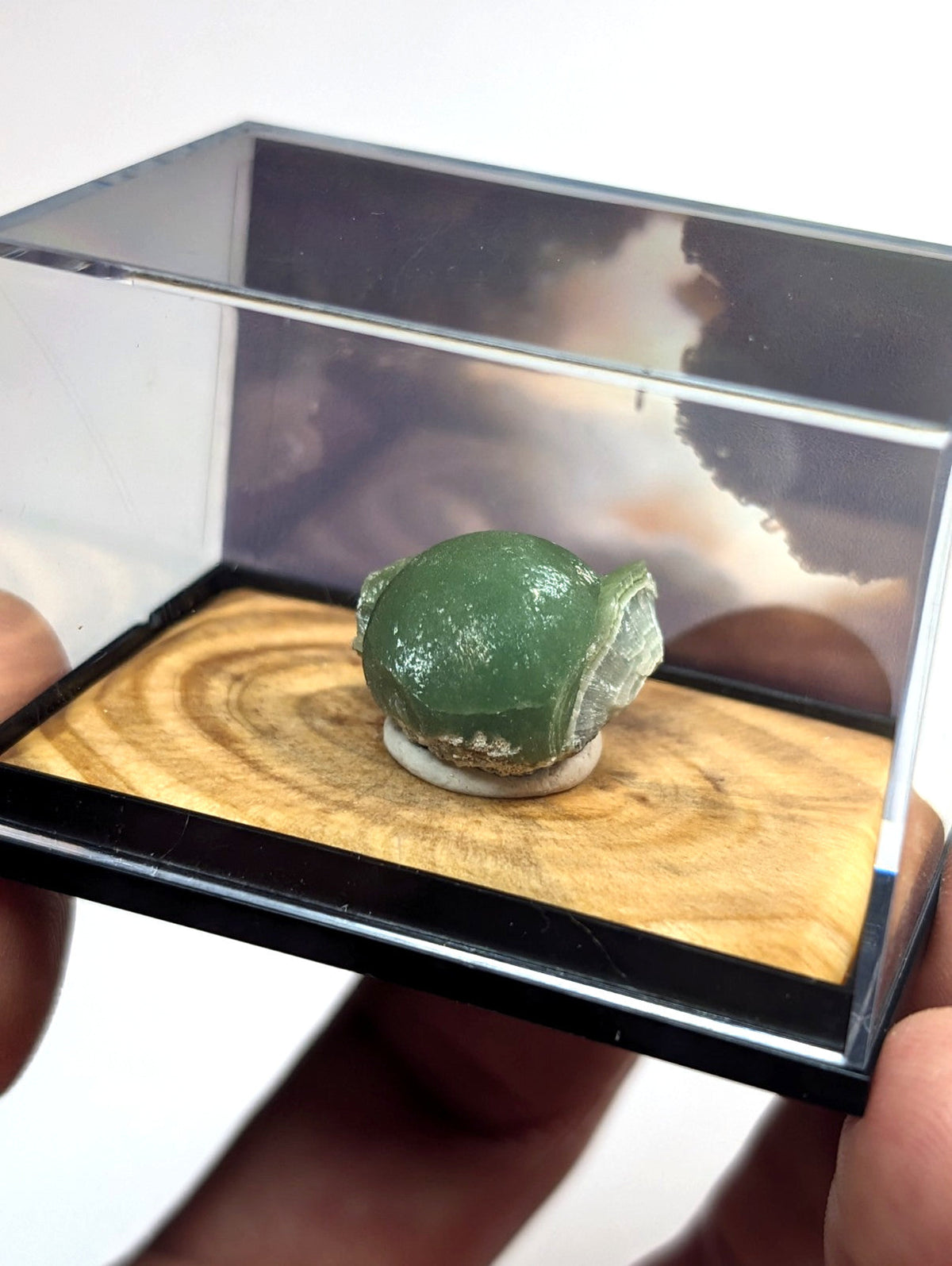 A polished green mineral specimen, possibly a type of jade or similar stone, displayed in a clear acrylic display case with a wooden base.