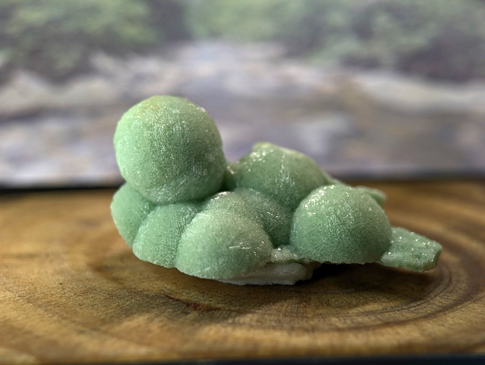 A delicate, light green, frosted confection shaped like a miniature turtle with rounded segments and textured surface.