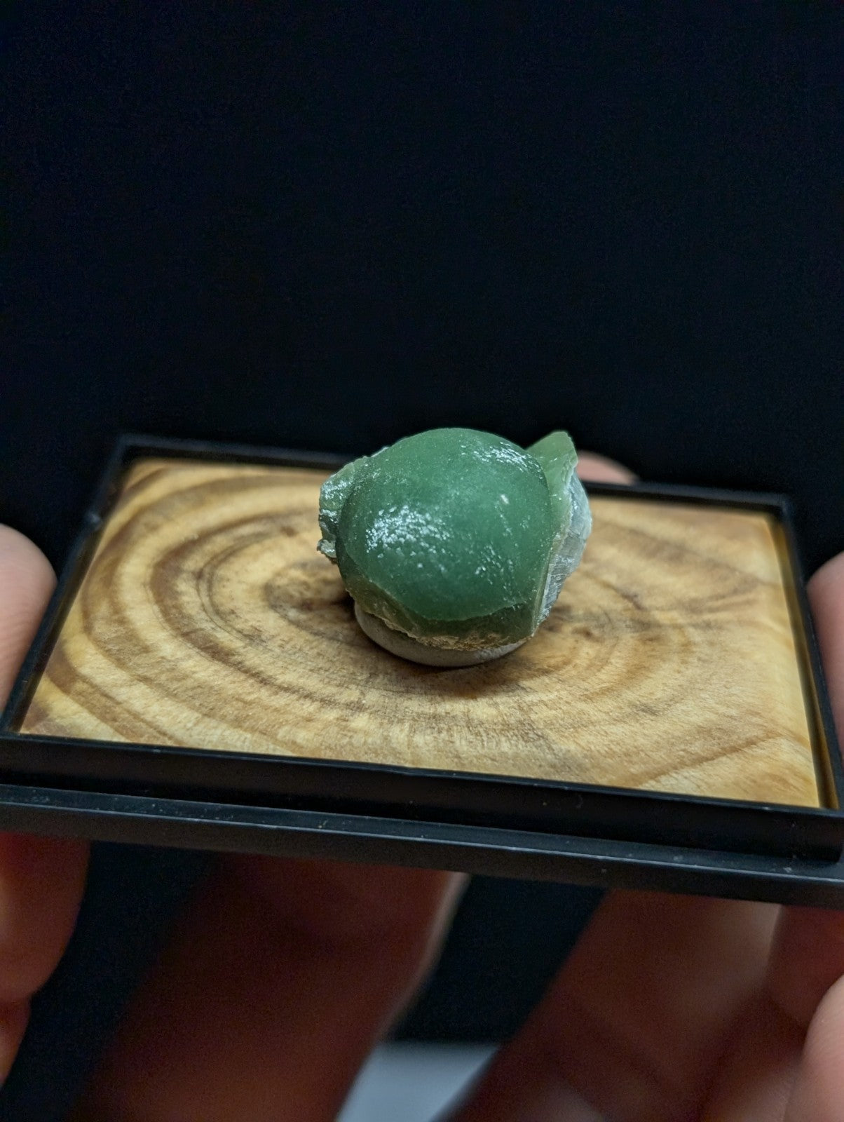 A smooth, translucent green jade frog figurine with subtle white speckles and a slightly textured surface.