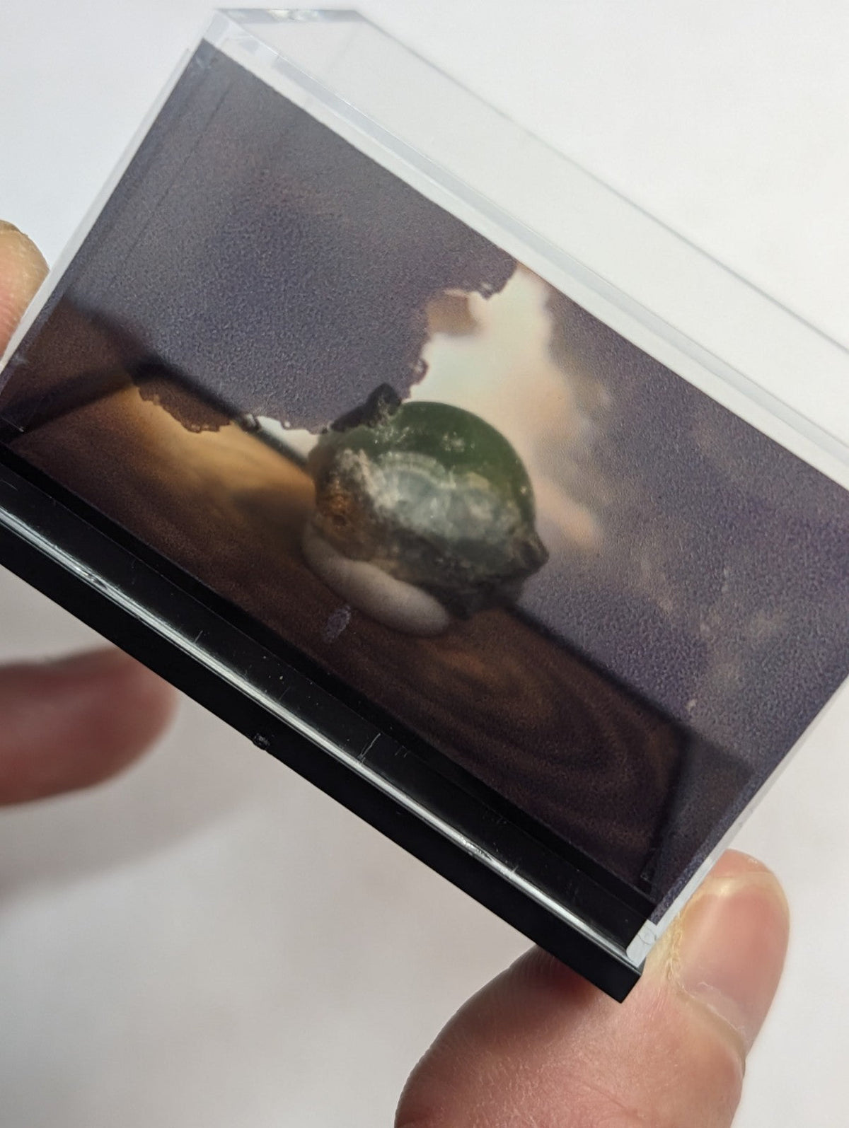 A clear plastic case holding a small, greenish stone with white mineral deposits against a dark, textured background.
