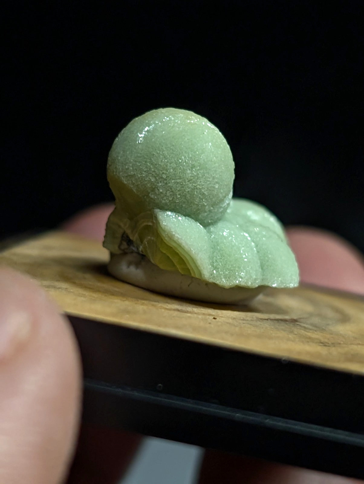 A delicate, pale green jade carving of a miniature octopus with soft, rounded tentacles.
