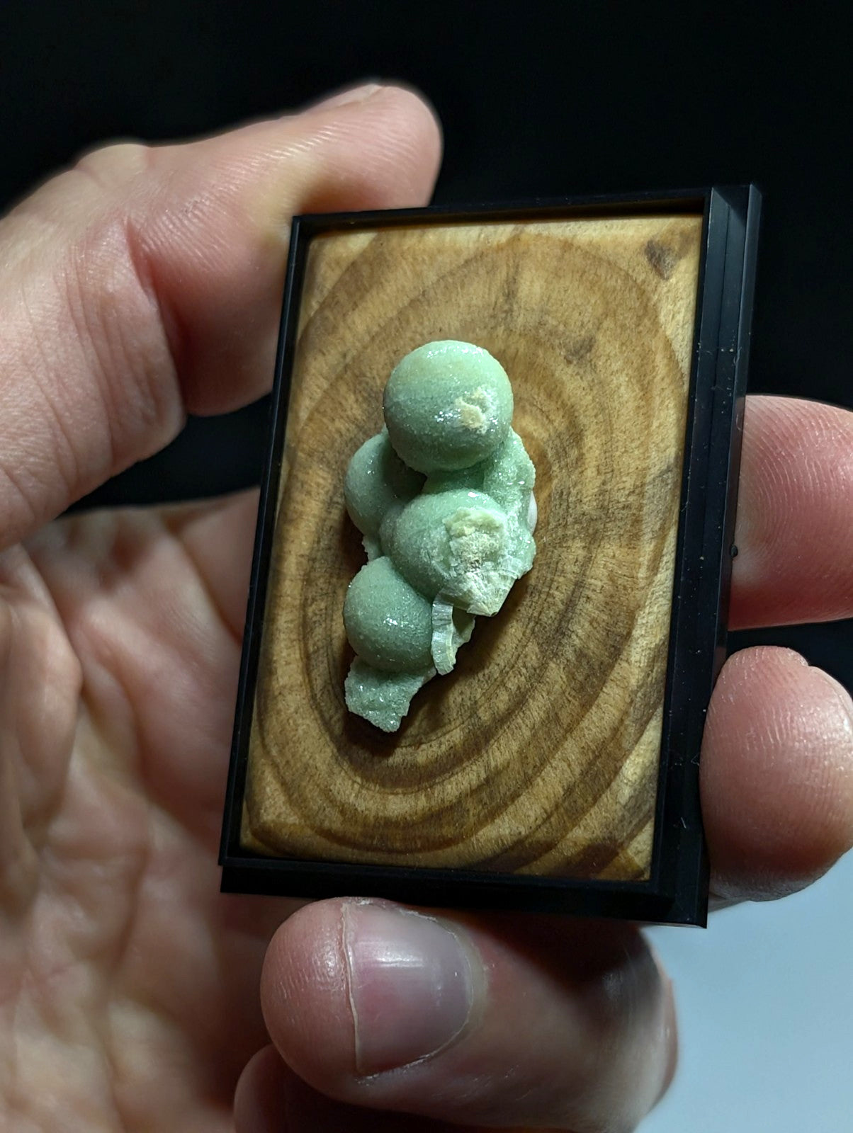 A delicate, pale green mineral specimen with rounded nodules displayed in a sleek black-framed wooden showcase.