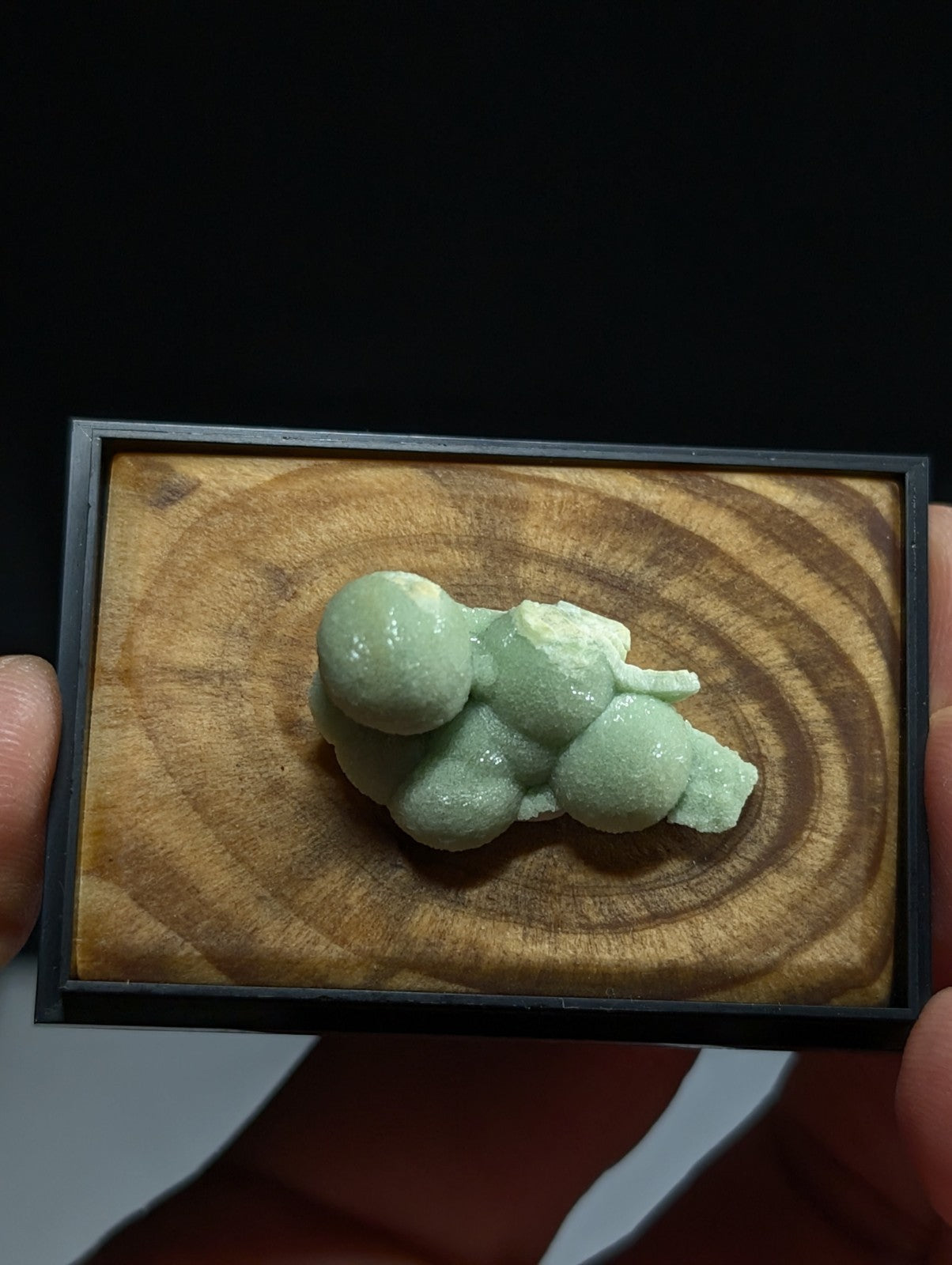 A pale green, glossy mineral specimen with rounded, clustered formations displayed in a black-framed wooden shadowbox.