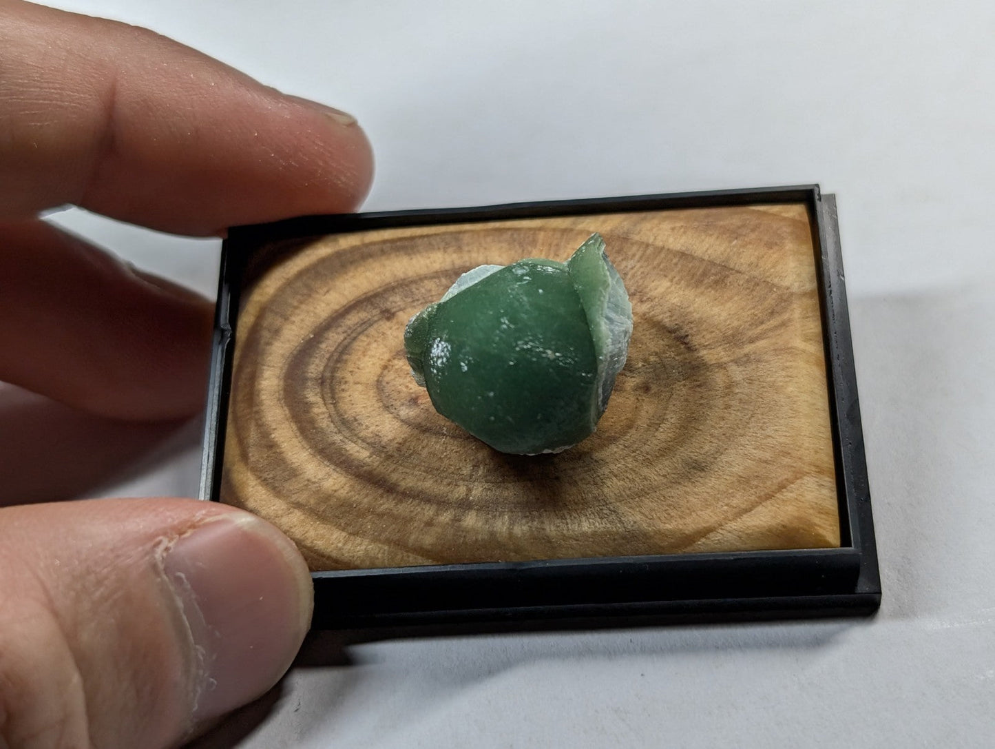 A smooth, translucent green gemstone with a slightly irregular shape rests in a black-framed wooden display box.