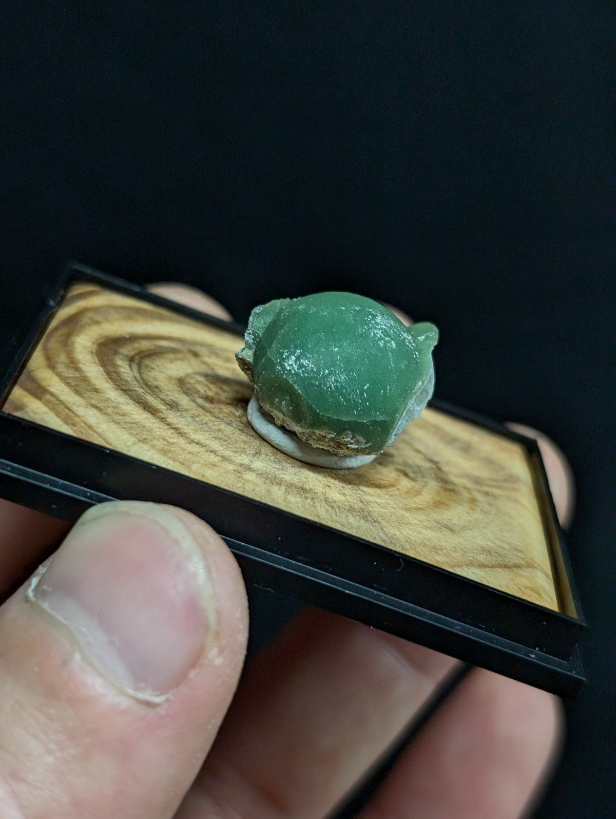 A smooth, translucent green jade figurine of a small turtle with slightly chipped edges and natural stone texture.