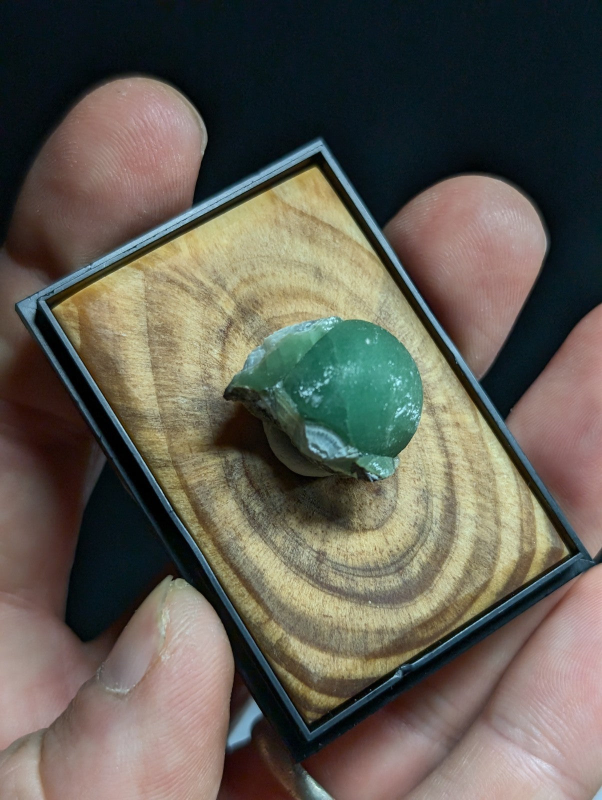 A polished green agate shell with a smooth, glossy surface and subtle white veining.