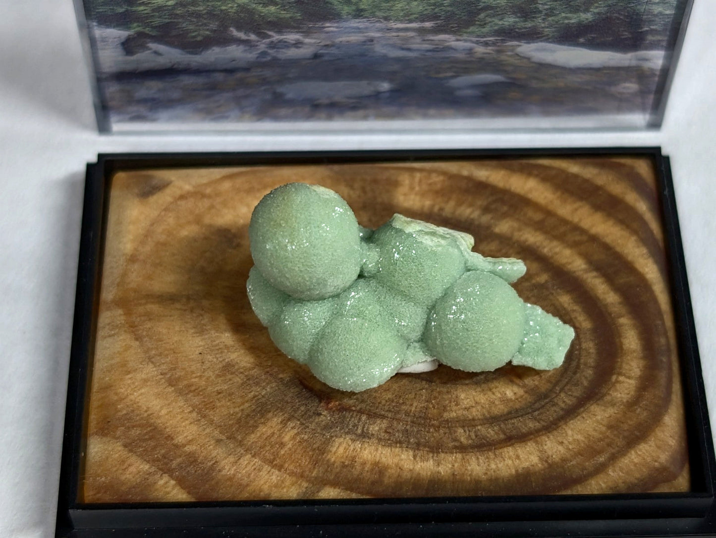 A pale green, textured mineral specimen with rounded nodules displayed in a wooden tray.