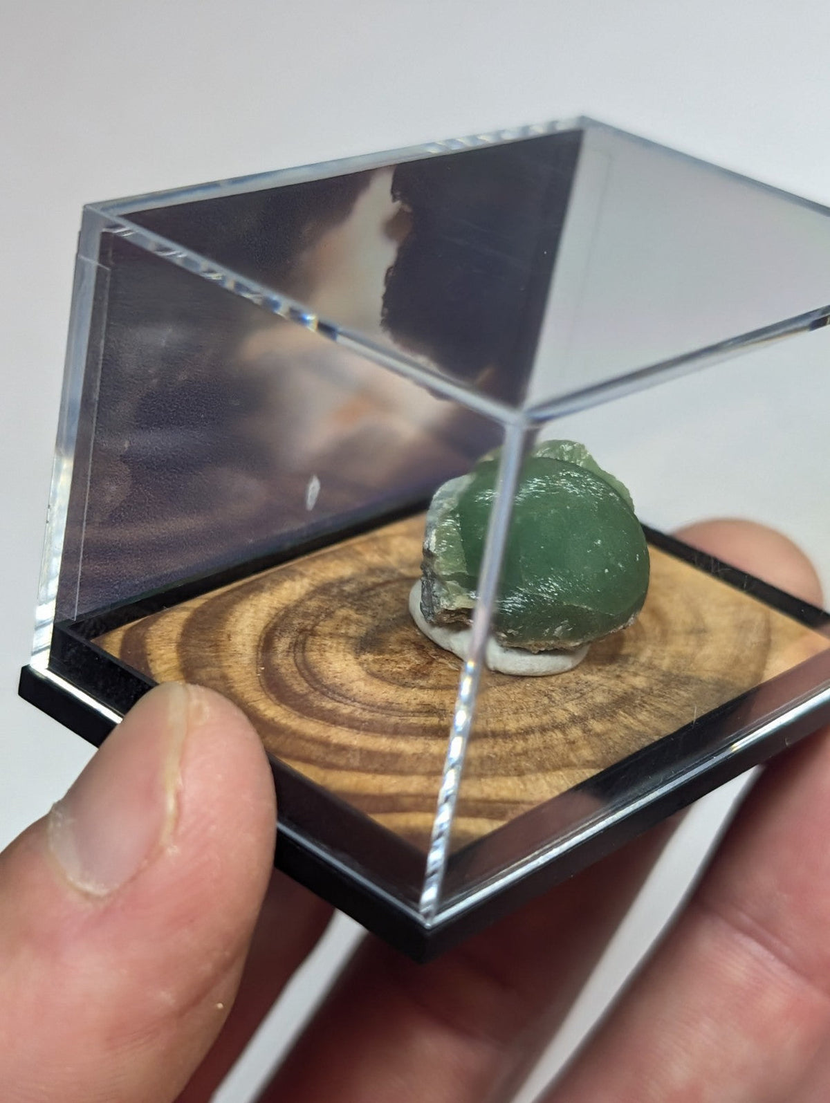 A polished green jade figurine nestled inside a clear acrylic display case with a wooden base.