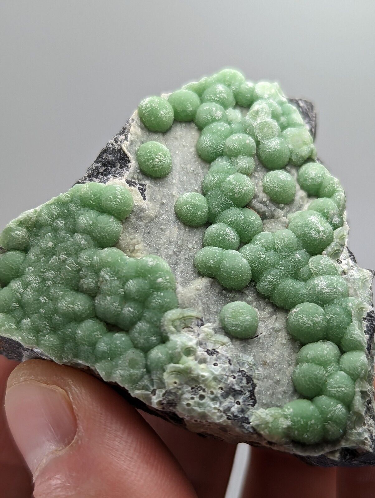 Wavellite + white mineral - Fantastic 1990s Old Stock - Mauldin Mtn. Arkansas - Collectibles:Rocks Fossils &