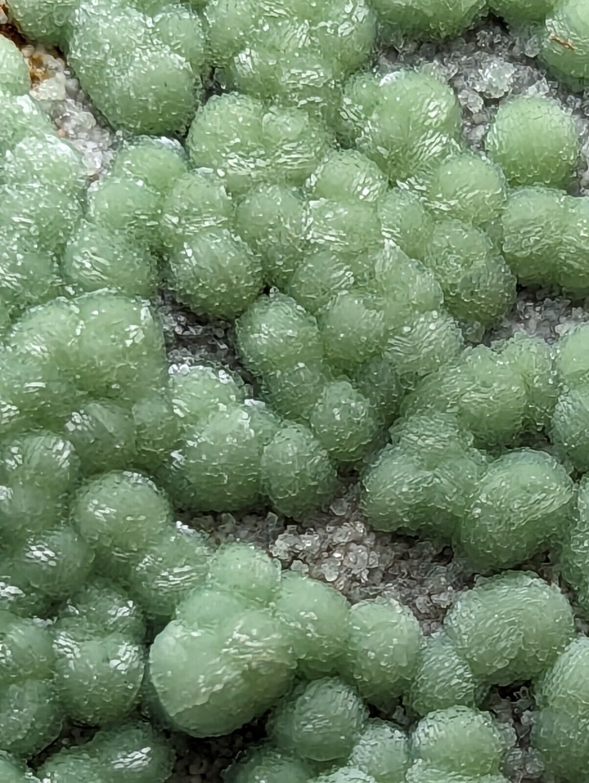 Wavellite + white mineral (variscite?) - RARE 1990s Old Stock - Mauldin Mountain Arkansas A + - Collectibles:Rocks