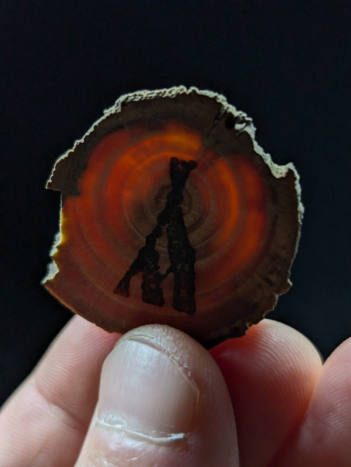 A hand holds a circular, naturally sliced piece of orange and brown agate with concentric rings.