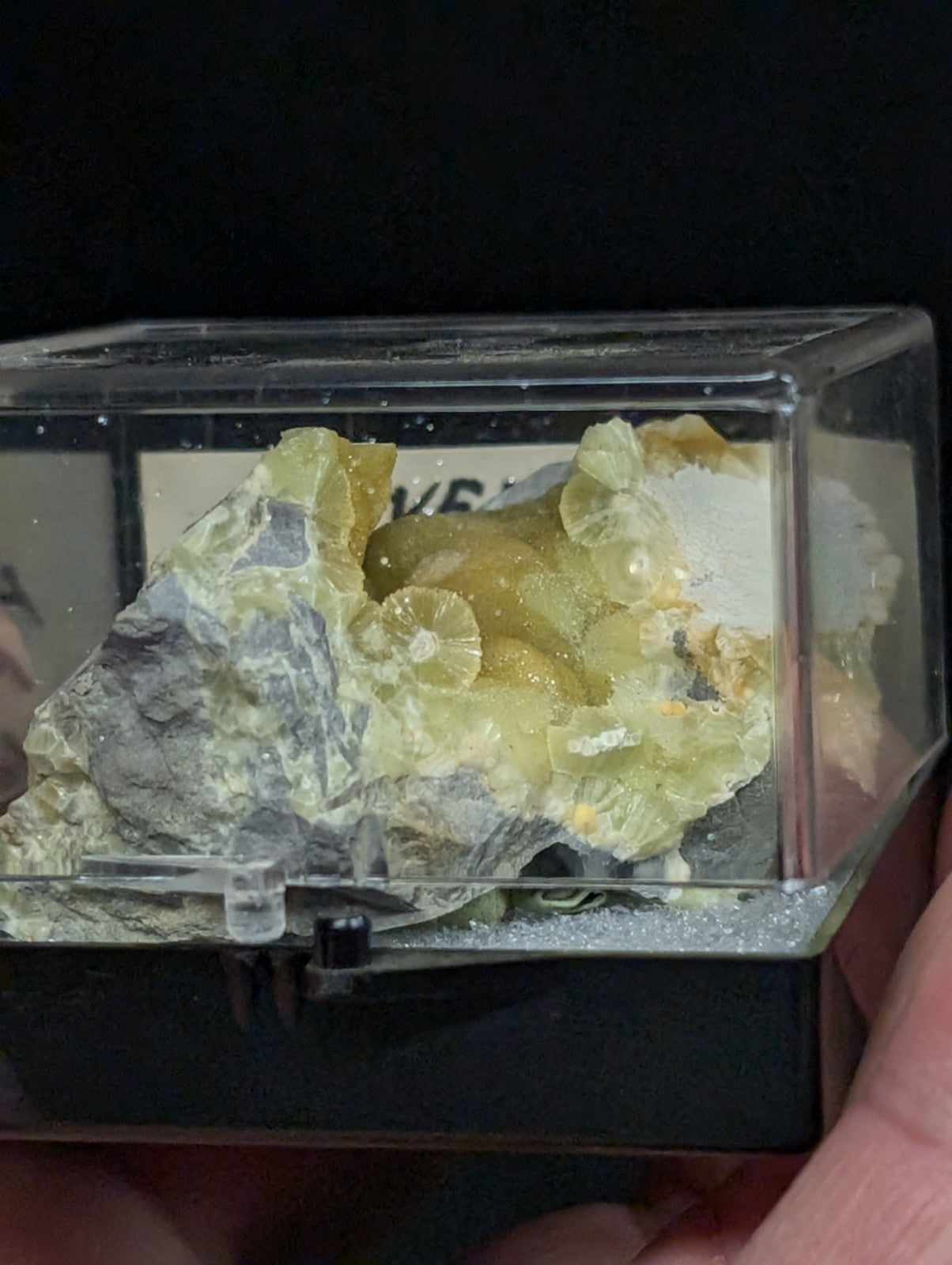 A translucent yellow-green mineral specimen with circular, bubble-like formations nestled within a grayish rock matrix, displayed in a clear acrylic display case.