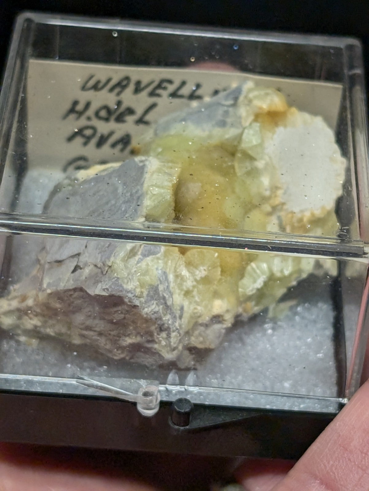 A yellowish-white mineral specimen with crystalline formations, displayed in a clear plastic display case.