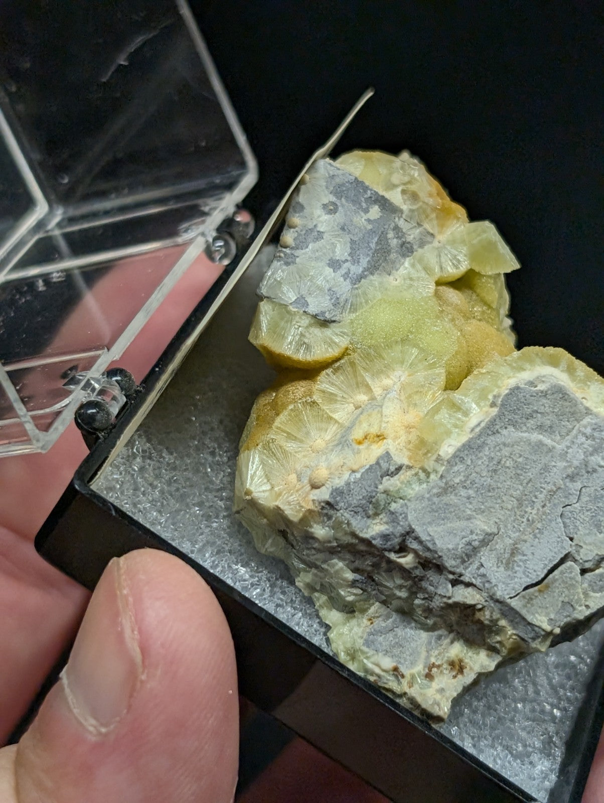 A yellow and gray mineral specimen with crystalline formations displayed in a clear plastic case.