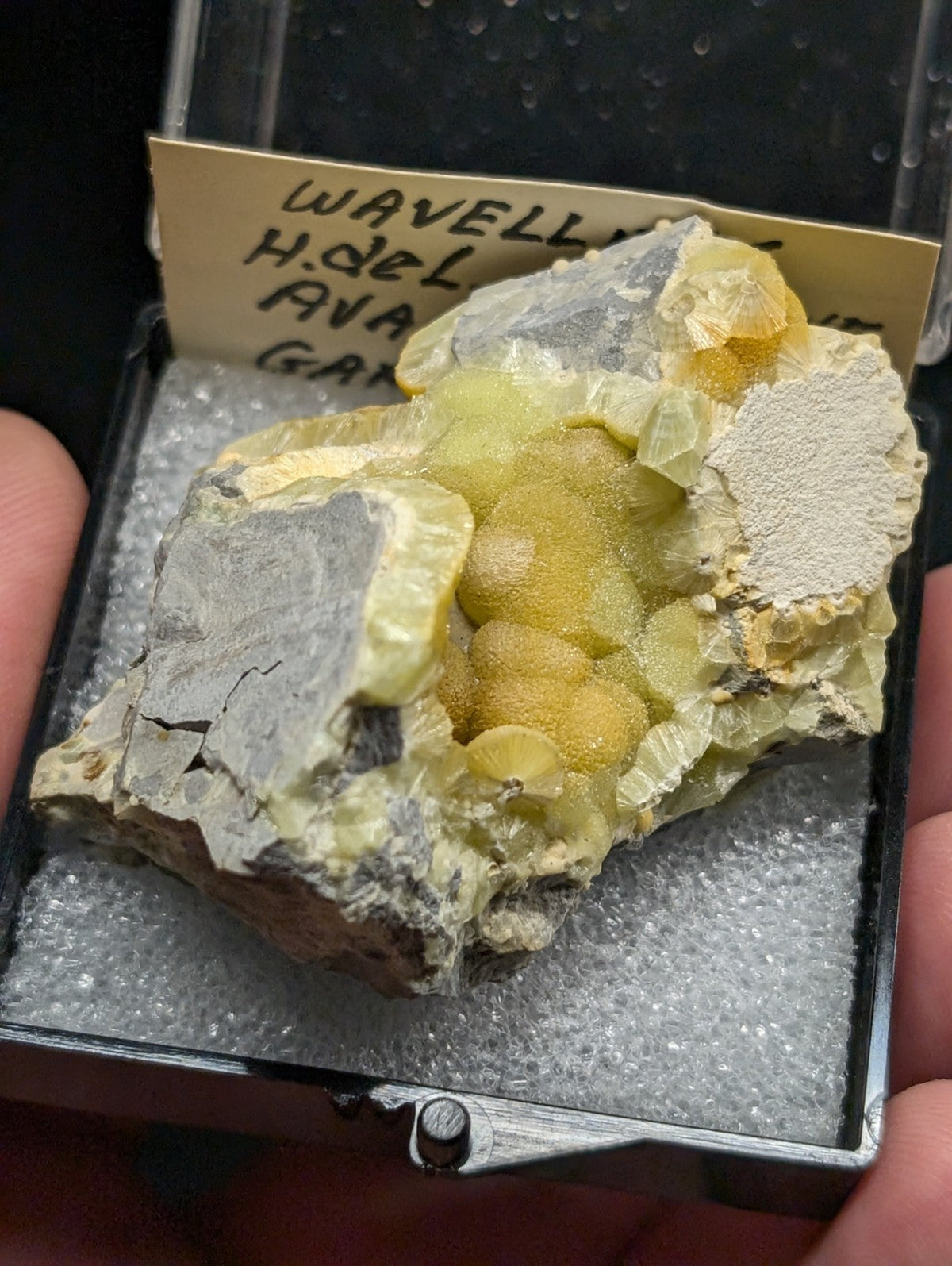 A yellow-green mineral specimen with crystalline formations nestled in a gray rock matrix, displayed within a protective black box.