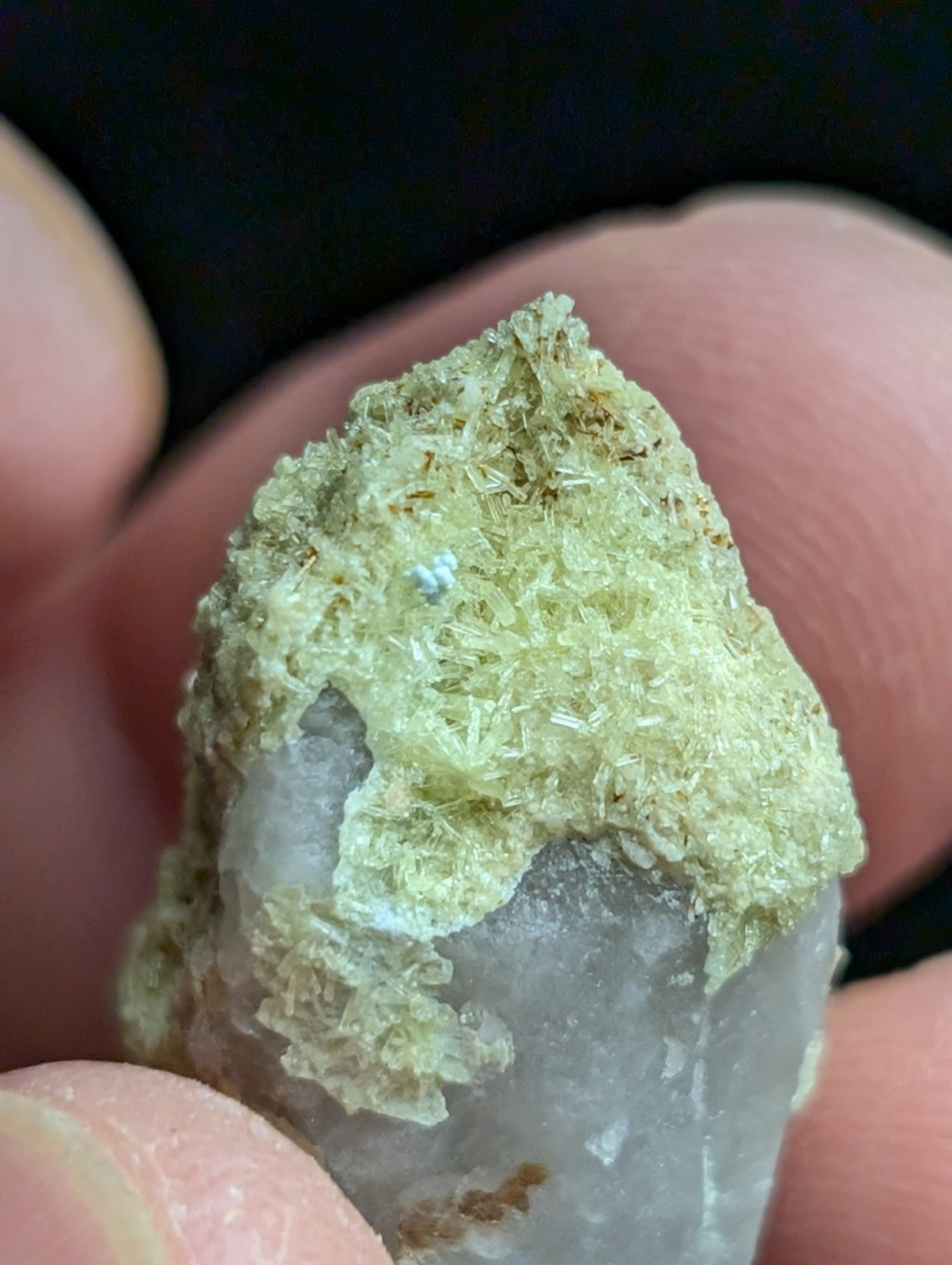 Yellow Wavellite with Variscite Quartz - Rare Old Stock - Polk County Arkansas - Collectibles:Rocks Fossils &
