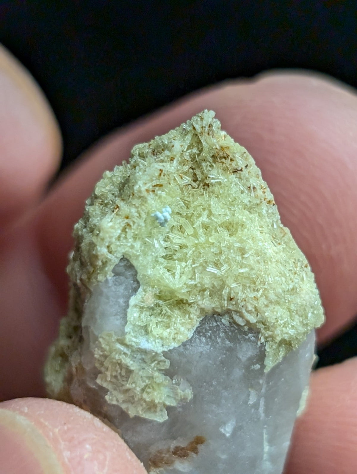 Yellow Wavellite with Variscite Quartz - Rare Old Stock - Polk County Arkansas - Collectibles:Rocks Fossils &