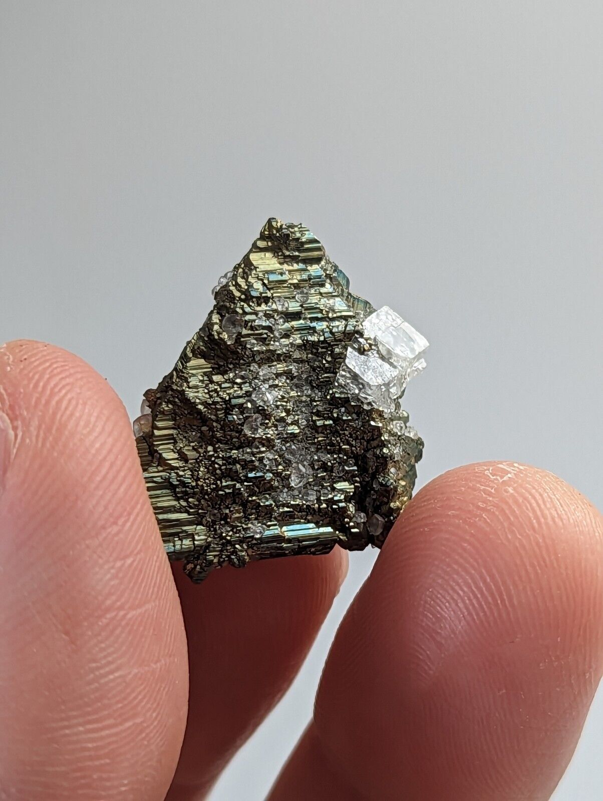 Marcasite with Calcite, Linwood Mine, Iowa, USA