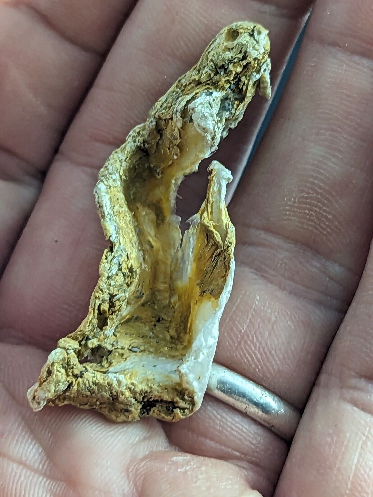 Rectorite "specimen" example, Ultra Rare Jeffrey Quarry, Arkansas Old Stock