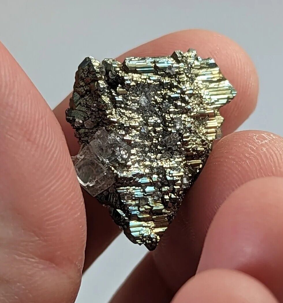 Marcasite with Calcite, Linwood Mine, Iowa, USA